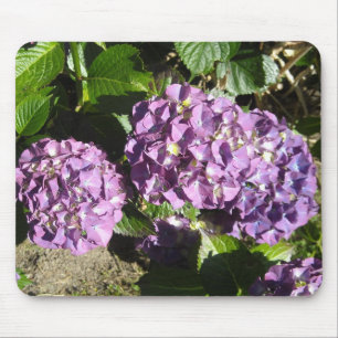 Anteile der Lila Hydrangea Mousepad