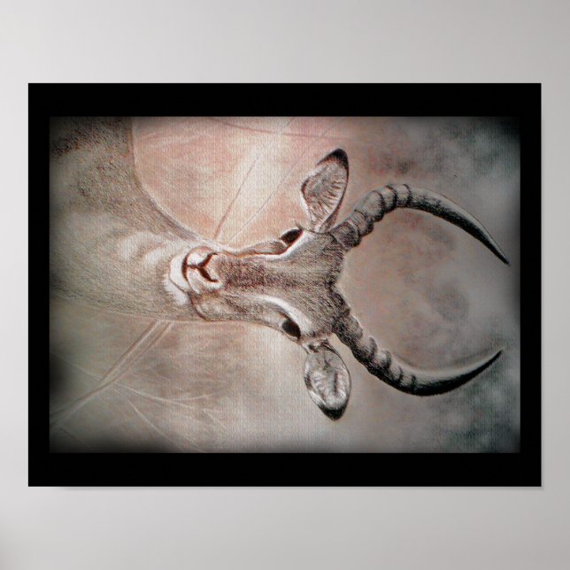 Antelope Art Poster (Vorne)