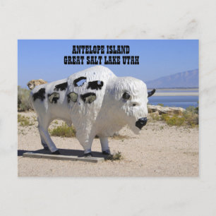 Antelope Island Great Salt Lake Utah Postcard Postkarte