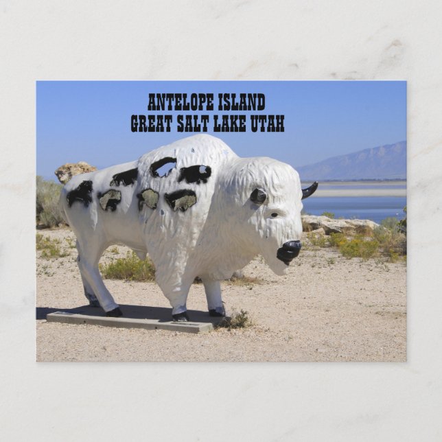 Antelope Island Great Salt Lake Utah Postcard Postkarte (Vorderseite)