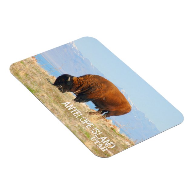 Antelope Island, Utah Magnet (Rechte Seite)