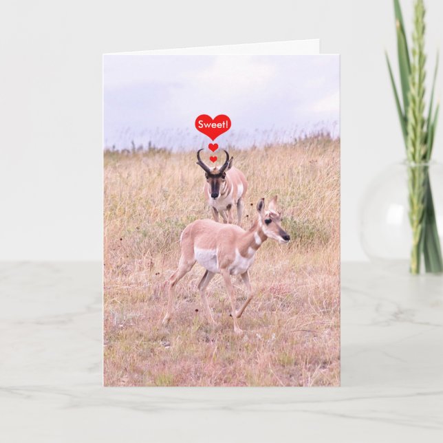 Antelope Liebe Card Feiertagskarte (Vorderseite)