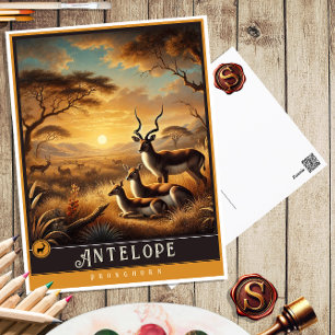 Antelope Niedliche Vintage Tierpostkarte Postkarte