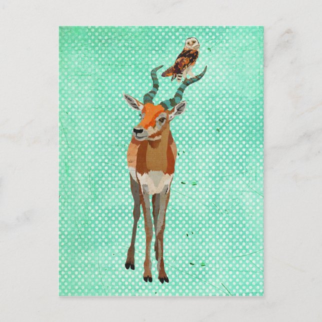 ANTELOPE & OWL Postkarte (Vorderseite)