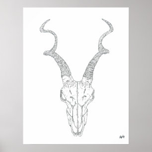 Antelope Print Poster