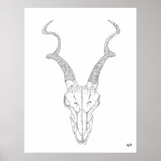 Antelope Print Poster