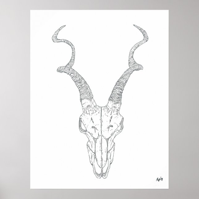 Antelope Print Poster (Vorne)