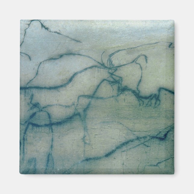 Antelope und Bison, Perigordian (Höhlenmalerei) Magnet (Vorne)