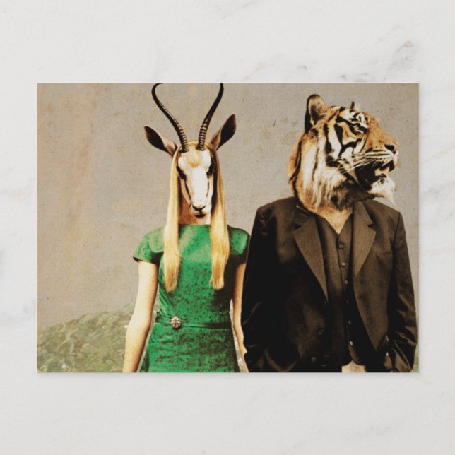Antelope und Tiger Postkarte (Vorderseite)