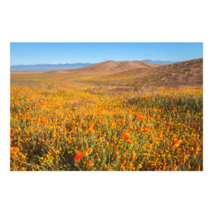 Antelope Valley Fotodruck