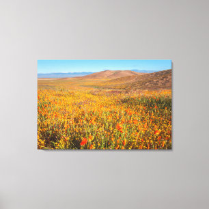 Antelope Valley Leinwanddruck