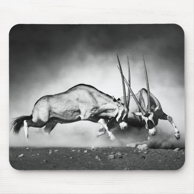 Antelopes-Kampf-Maus-Pad Mousepad (Vorne)
