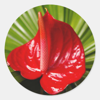 Anthirium Runder Aufkleber