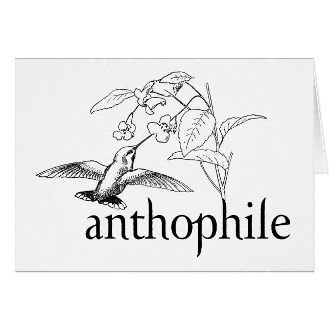Anthophil (Vorderseite (Horizontal))