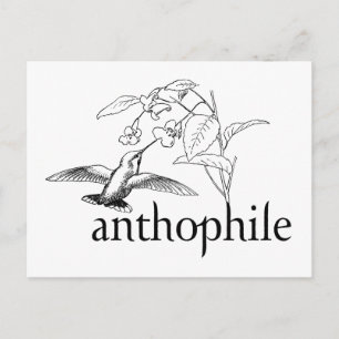 Anthophil Postkarte