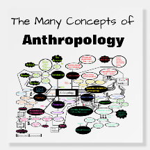 Anthropology Concept Map Foam Board