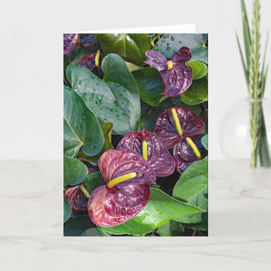 Anthurium Dankeskarte