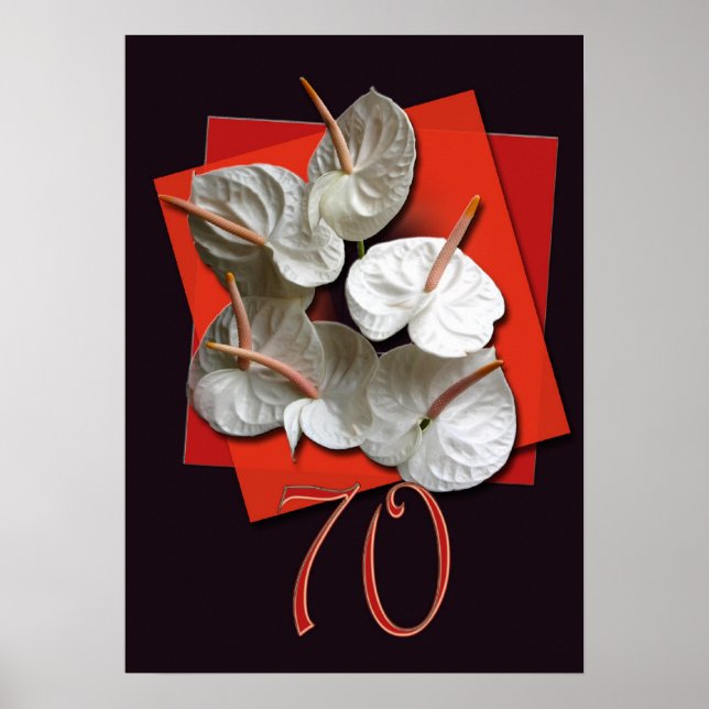 Anthurium-Poster Poster (Vorne)