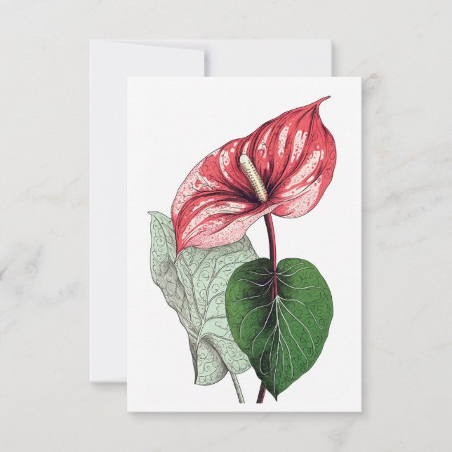 Anthurium Tropical Blume Blank Dankeskarte (Vorderseite)