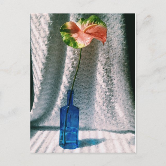 Anthurium und Blauflasche leben noch Postkarte (Vorderseite)
