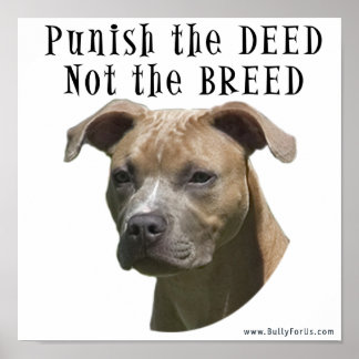 Anti-BSL bestraft die Tat, nicht das Breed Poster
