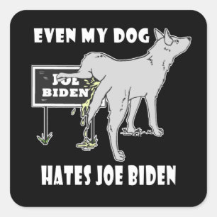 Anti Joe Biden My Dog hasst biden politischen Humo Quadratischer Aufkleber