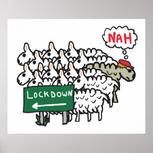 Anti-Lockdown-Schafe Poster