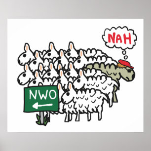 Anti-NWO-Weltordnung Poster