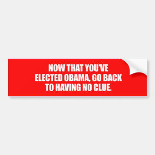 Anti-Obama - nun da Sie Obama gewählt haben, gehe Autoaufkleber