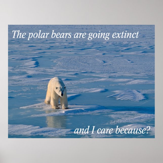 Anti-Polar-Bären Poster (Vorne)