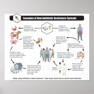 Antibiotikaresistenz Gesundheitspflegeposter Poster