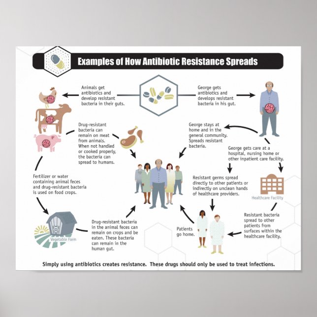 Antibiotikaresistenz Gesundheitspflegeposter Poster (Vorne)