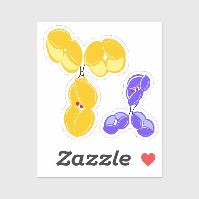 Antibody drug conjugate DAR2 at glycan Aufkleber (Blatt)