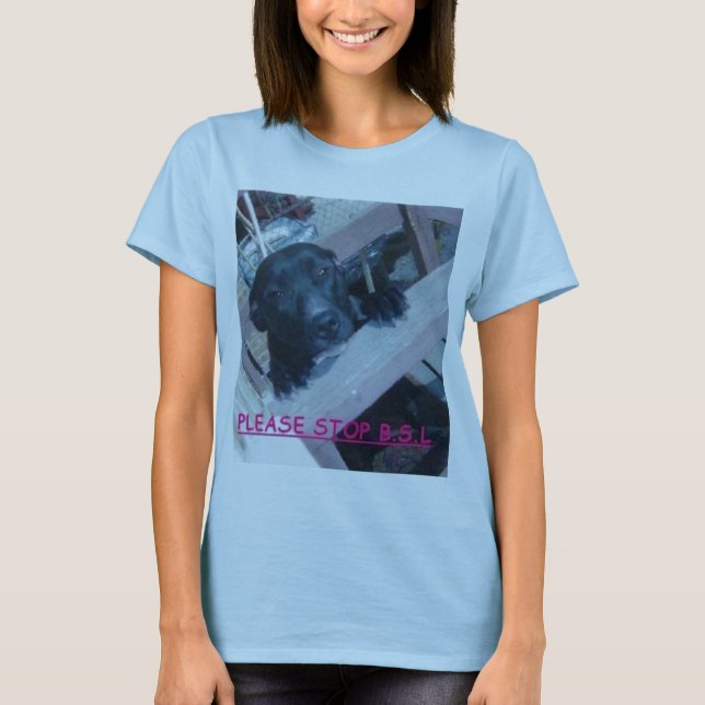 ANTIBSL T-Shirt (Vorderseite)