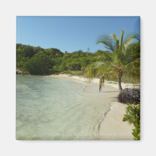 Antiguan Strand Schöne tropische Landschaft Magnet