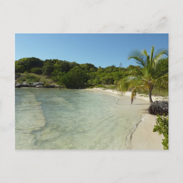 Antiguan Strand Schöne tropische Landschaft Postkarte (Vorderseite)