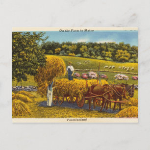 Antik, Auf dem Bauernhof in Maine, Urlaubsland Postkarte
