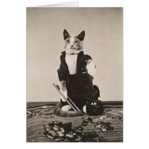 Antik - Katzenviolinist,