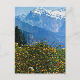 Antik Schweiz, Schynigge Platte, 1909 6 Postkarte