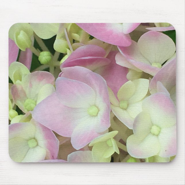 Antik Weiß und Dusty Pink Hydrangea Petals Mousepad (Vorne)