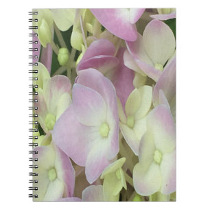 Antik Weiß und Dusty Pink Hydrangea Petals Notizblock