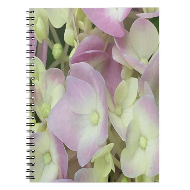 Antik Weiß und Dusty Pink Hydrangea Petals Notizblock (Vorderseite)