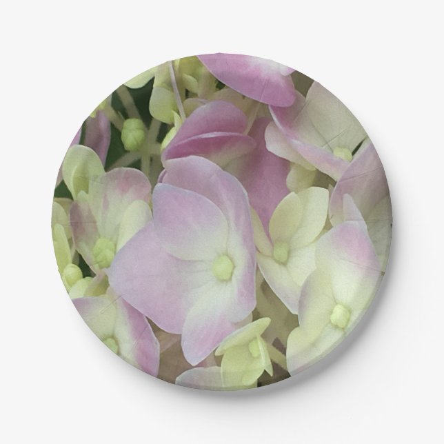 Antik Weiß und Dusty Pink Hydrangea Petals Pappteller (Vorderseite)