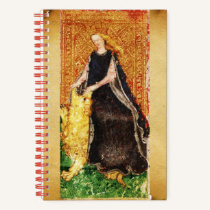 ANTIKABELTAROTE / FORTITUT UND TAROT NOTIZBUCH