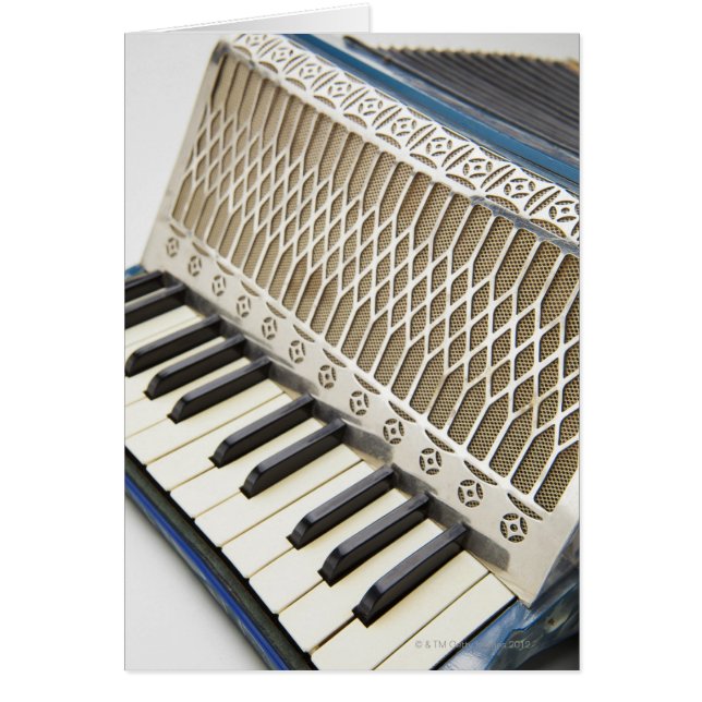 Antike Accordion-Tastatur (Vorne)