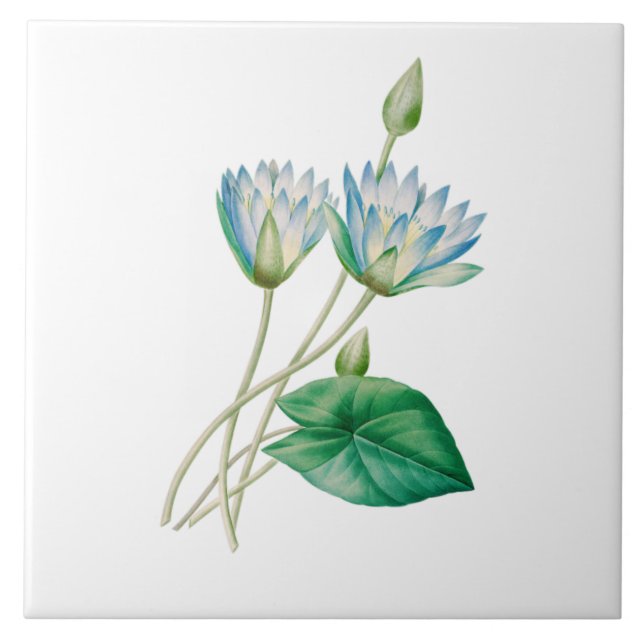 Antike ägyptische Lotusblume Fliese (Vorderseite)