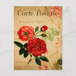 Antike alte Rosen Blumen französisch Postkarte