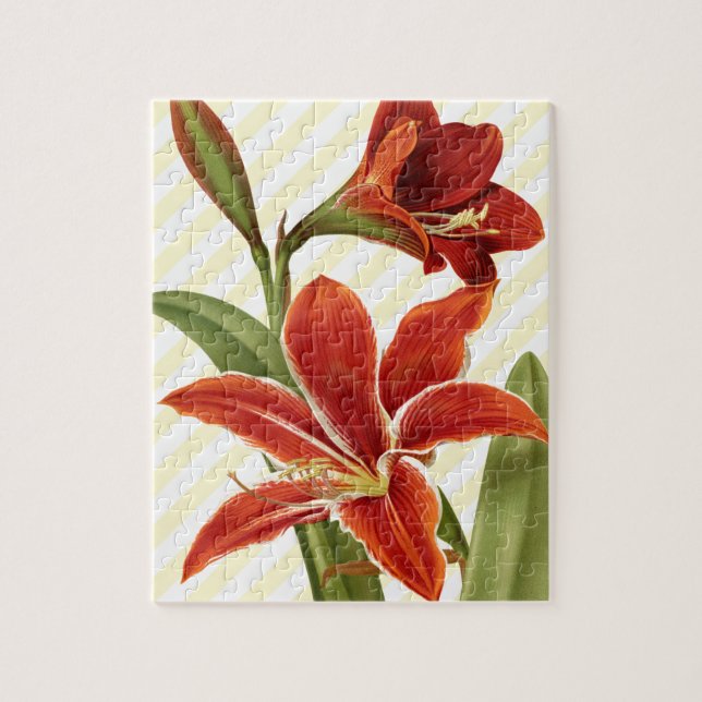 Antike Amaryllis Puzzle (Vertikal)