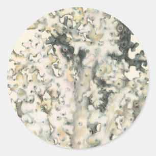 Antike Aquarell-Koralle Runder Aufkleber