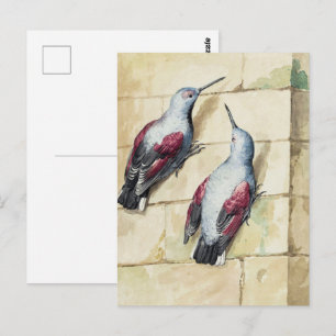Antike Aquarell-Kunst roter und grauer Vogel Postkarte